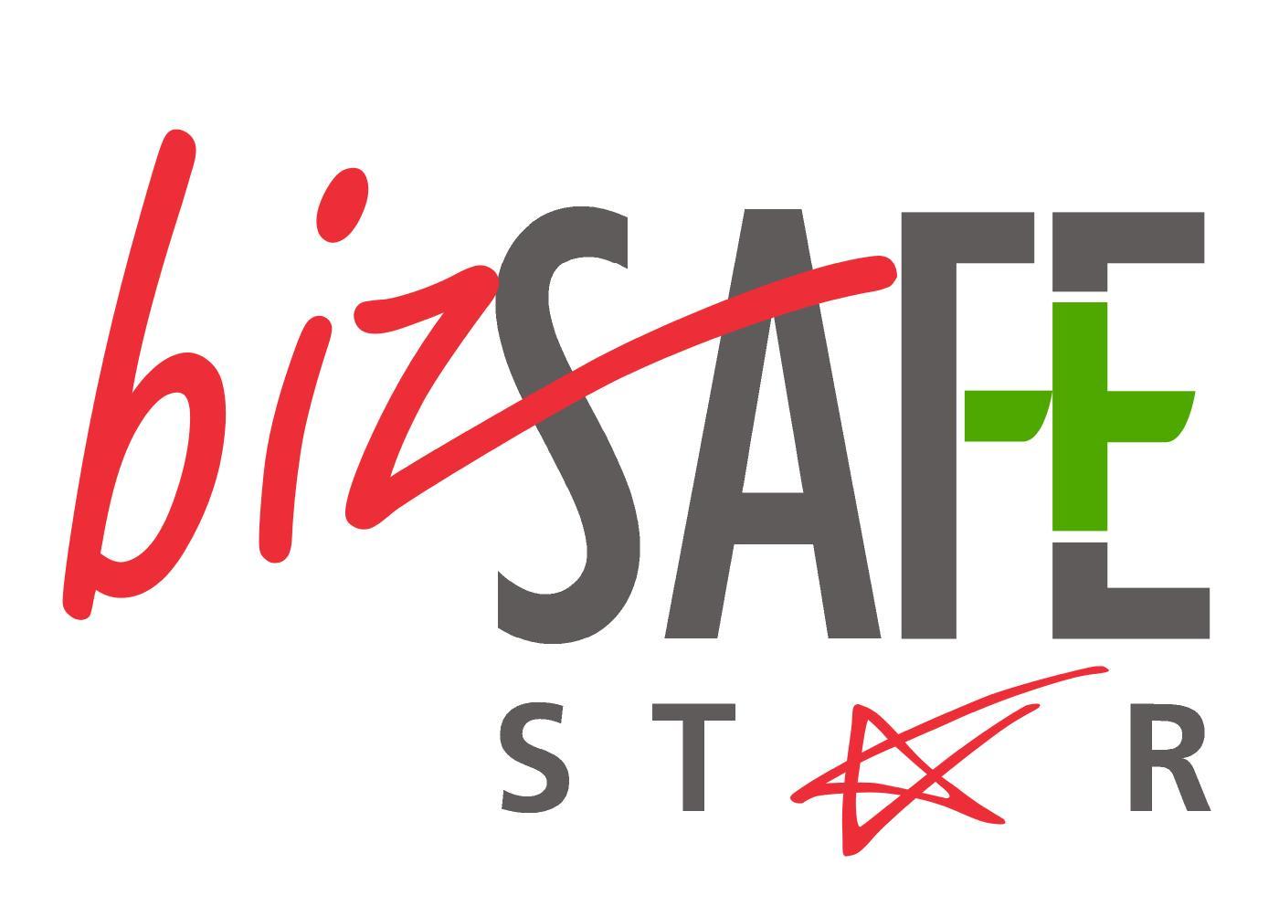 bizSAFE Enterprise Level STAR.jpg